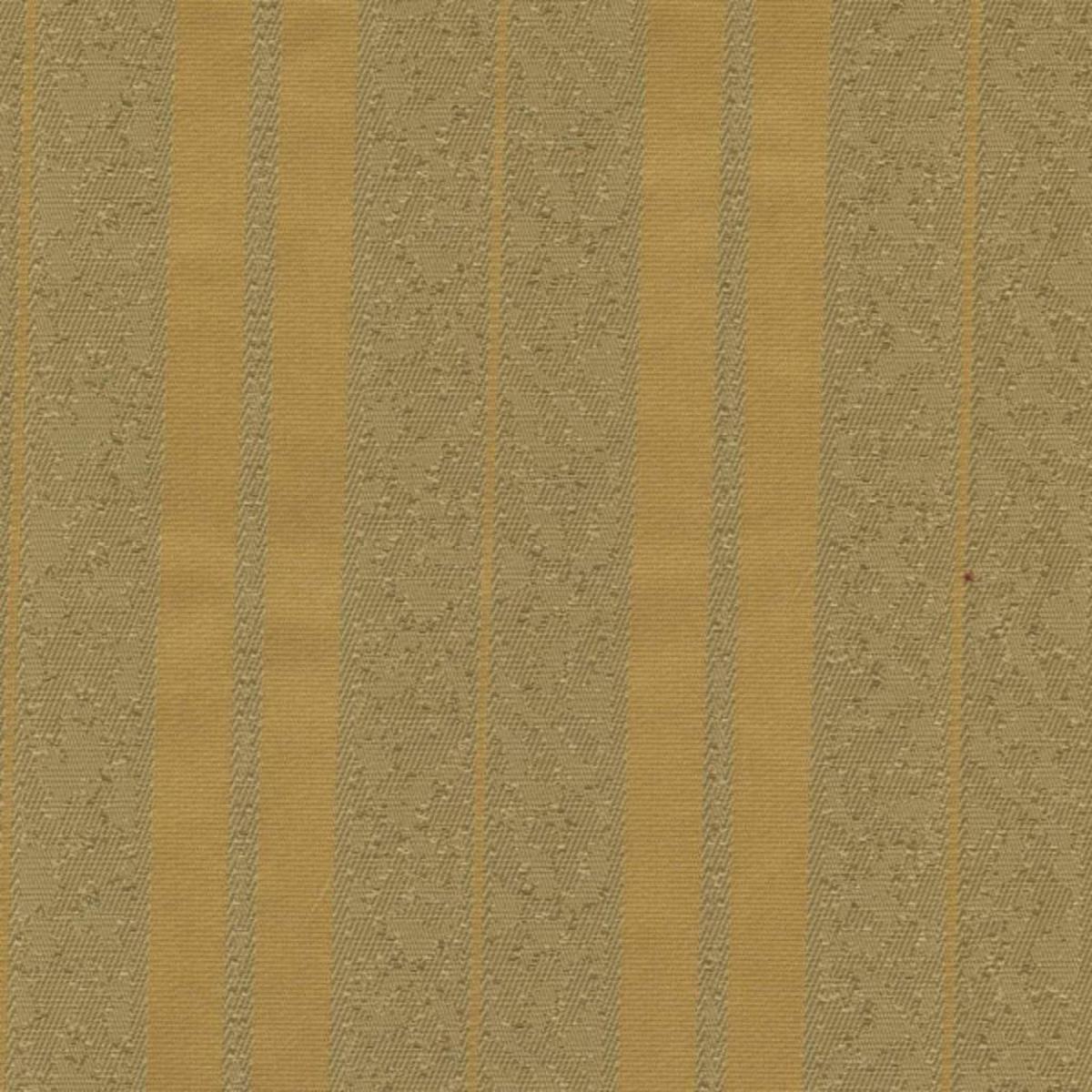 APPRENTICE Golden RM Coco Fabric