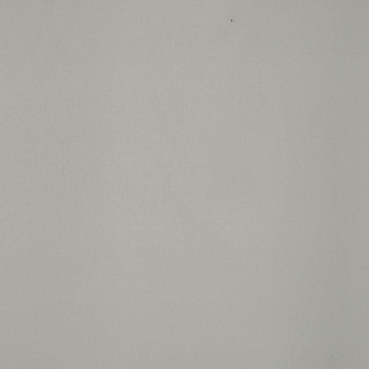 PLATINUM WILLOW RM Coco Fabric