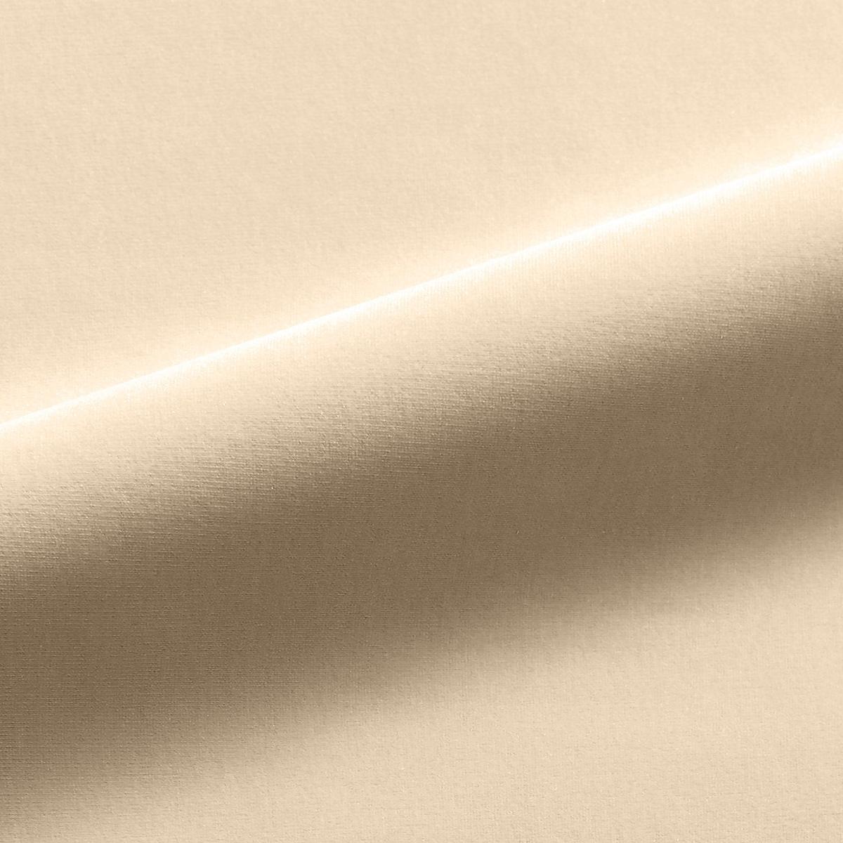 Linley - Creme by Scalamandre Fabric