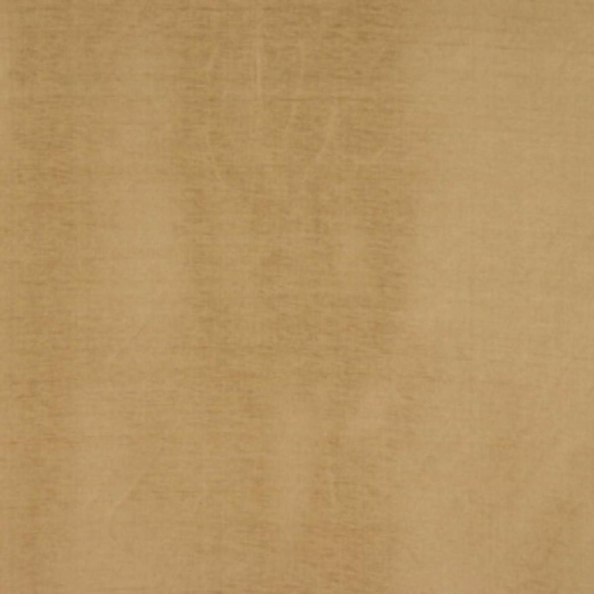RYE COIN RM Coco Fabric