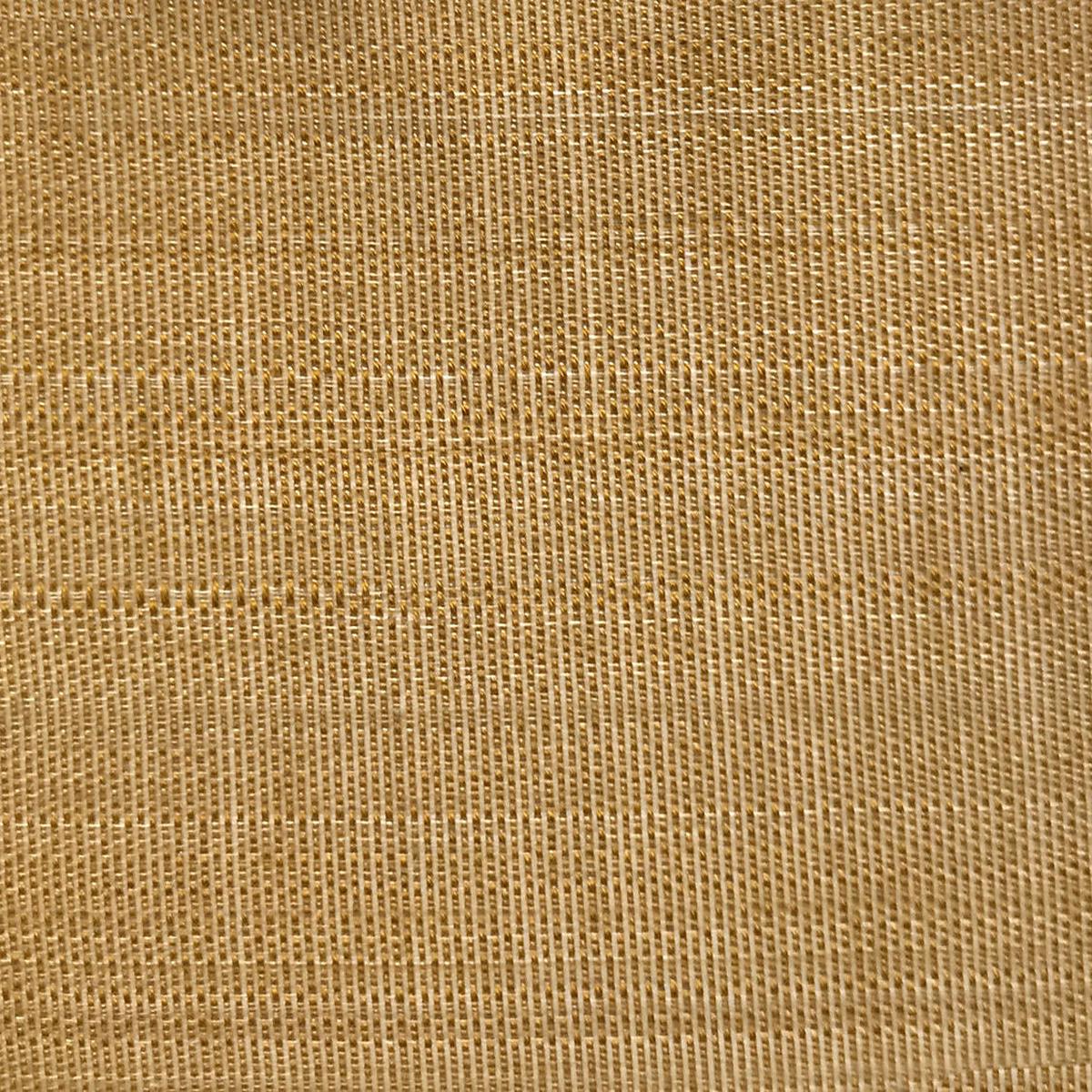 Paso Horsehair - Pale Brass by Scalamandre Fabric