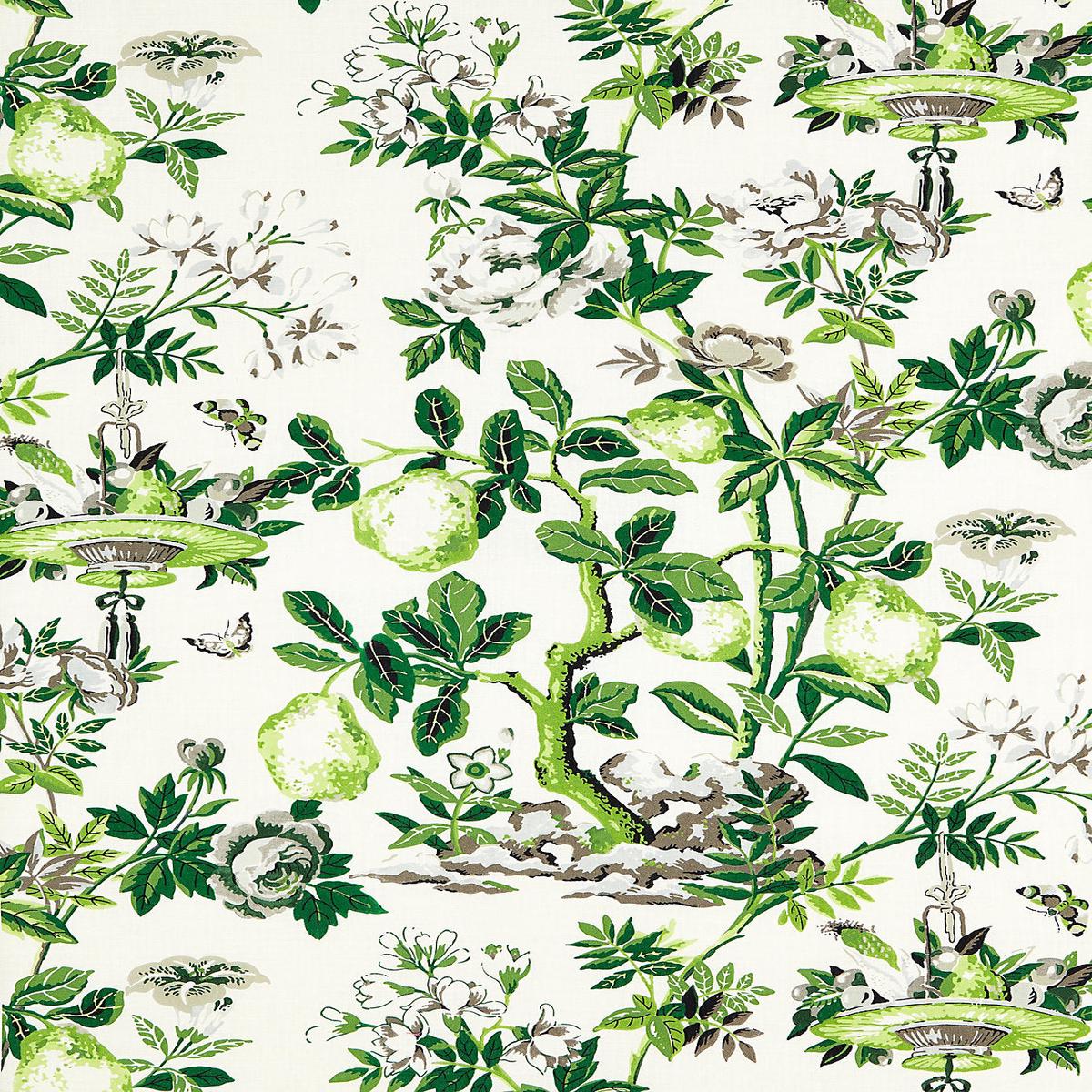 Shantung Garden Cotton Print - Verdance by Scalamandre Fabric