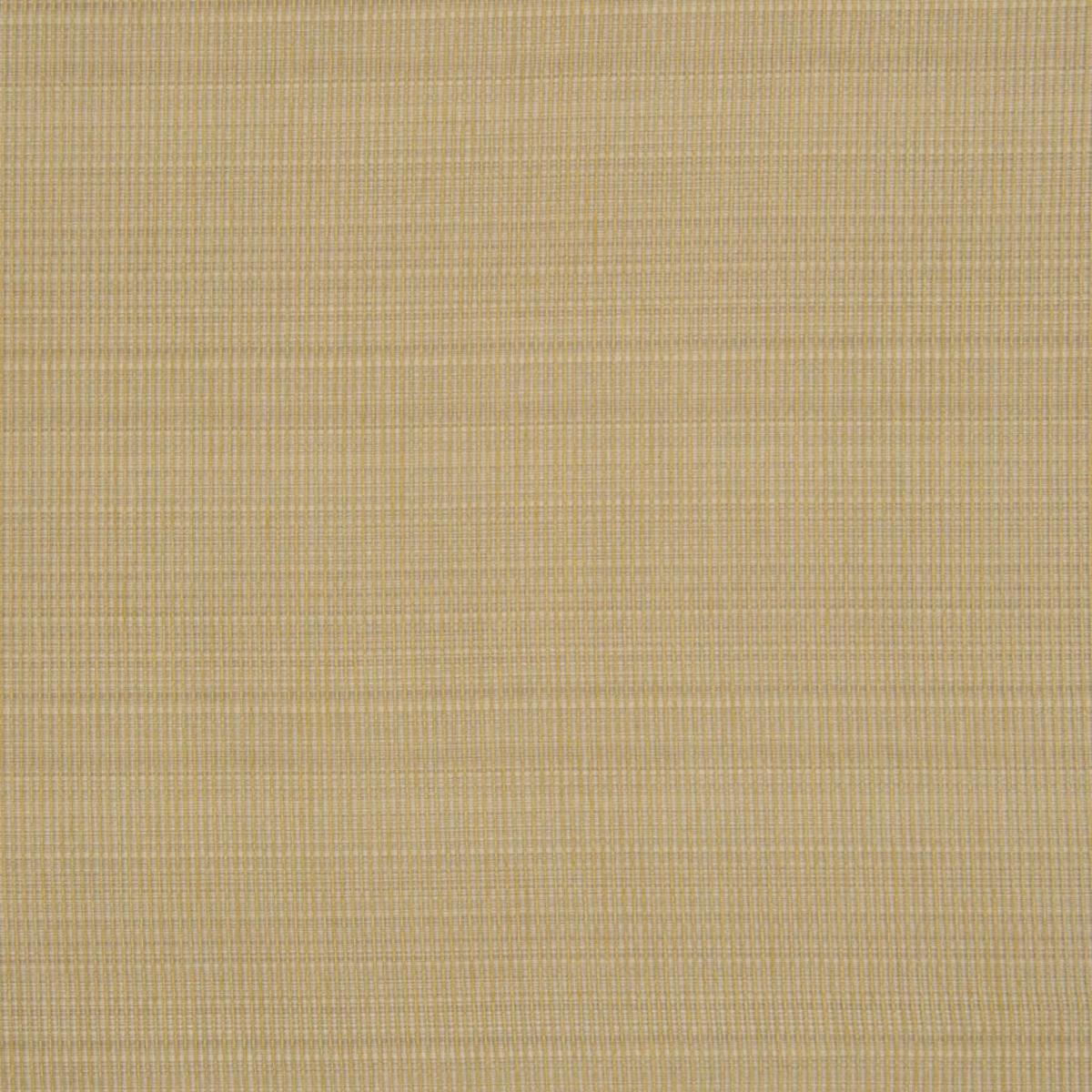 2123CB SEAGRASS RM Coco Fabric
