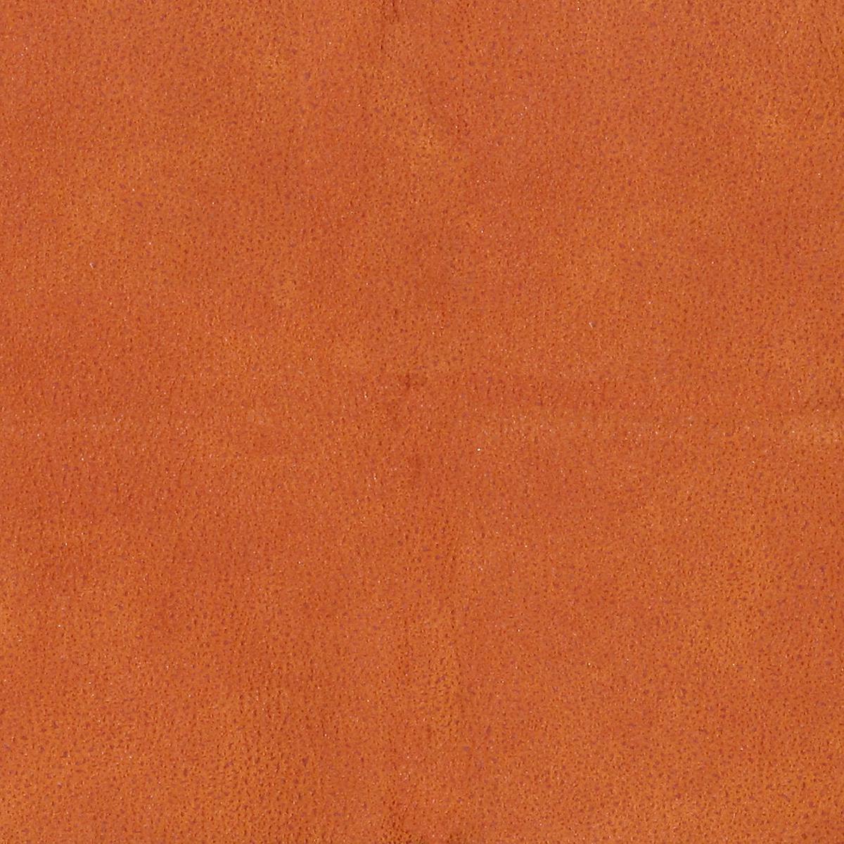 Western - Fauve by Scalamandre Fabric