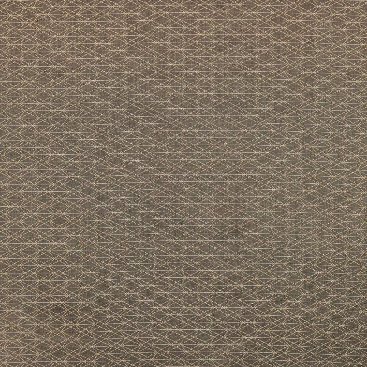 Ice Crystals -Hazelnut RM Coco Fabric