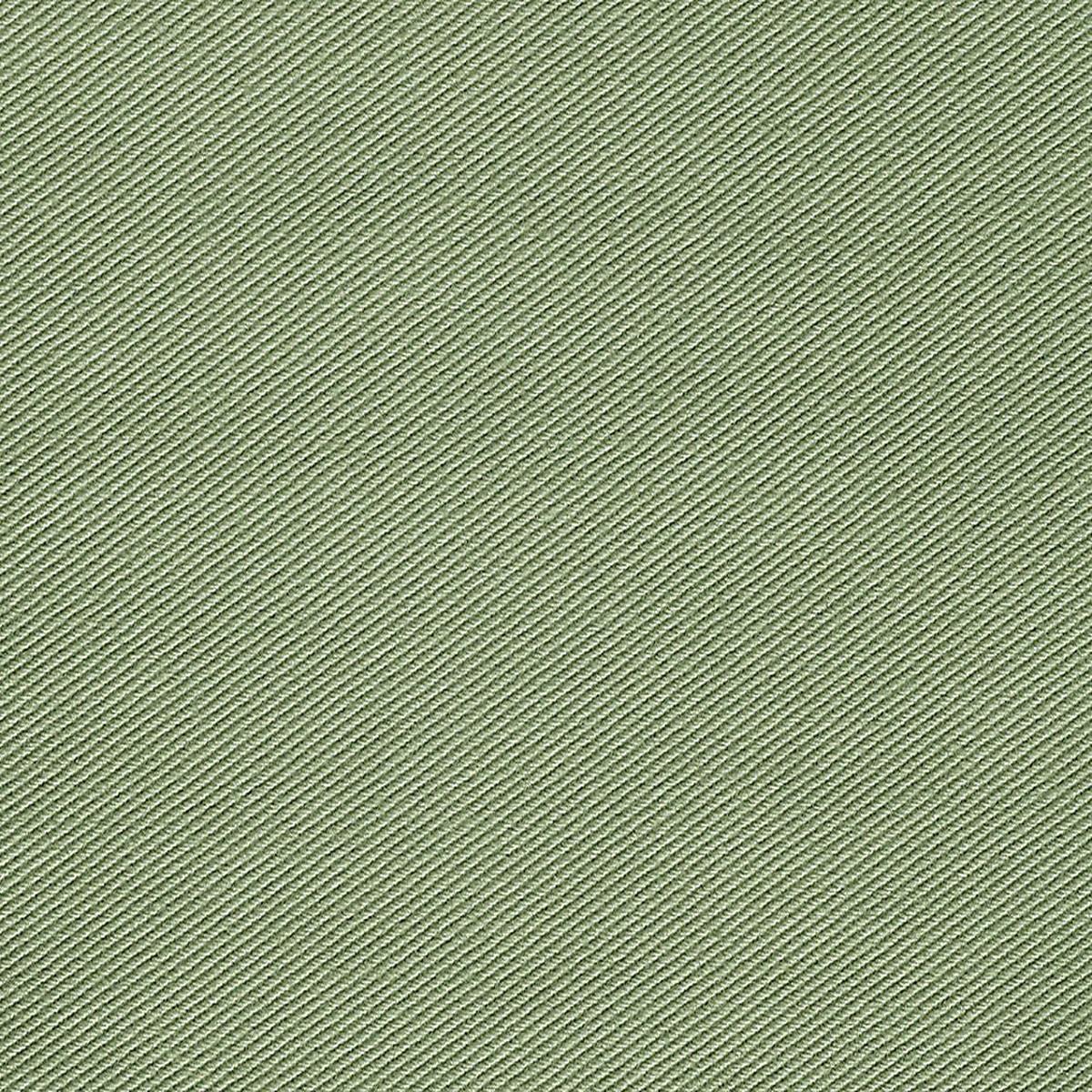 Kay Ii - Asparagus by Scalamandre Fabric