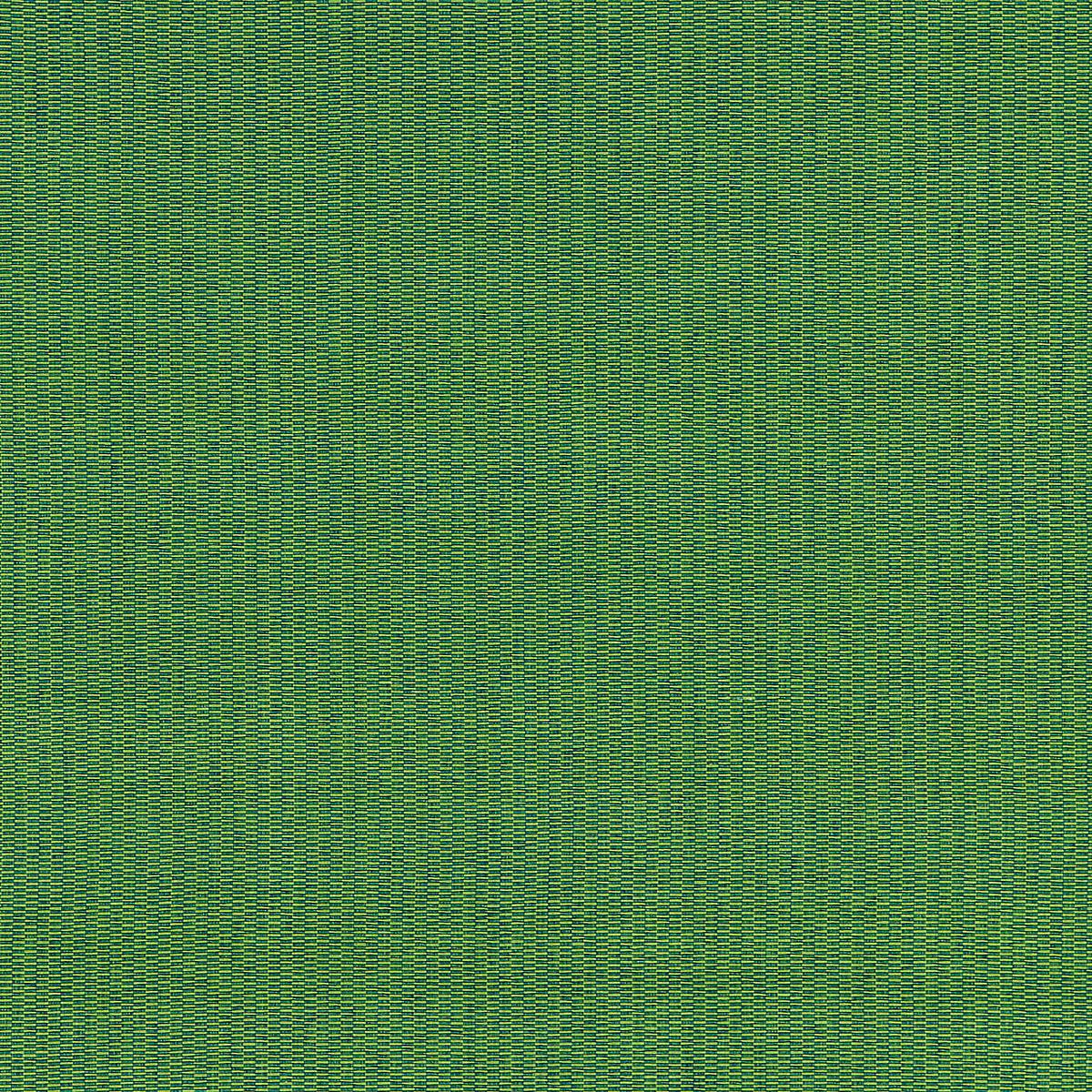 Reed Texture - Palm by Scalamandre Fabric