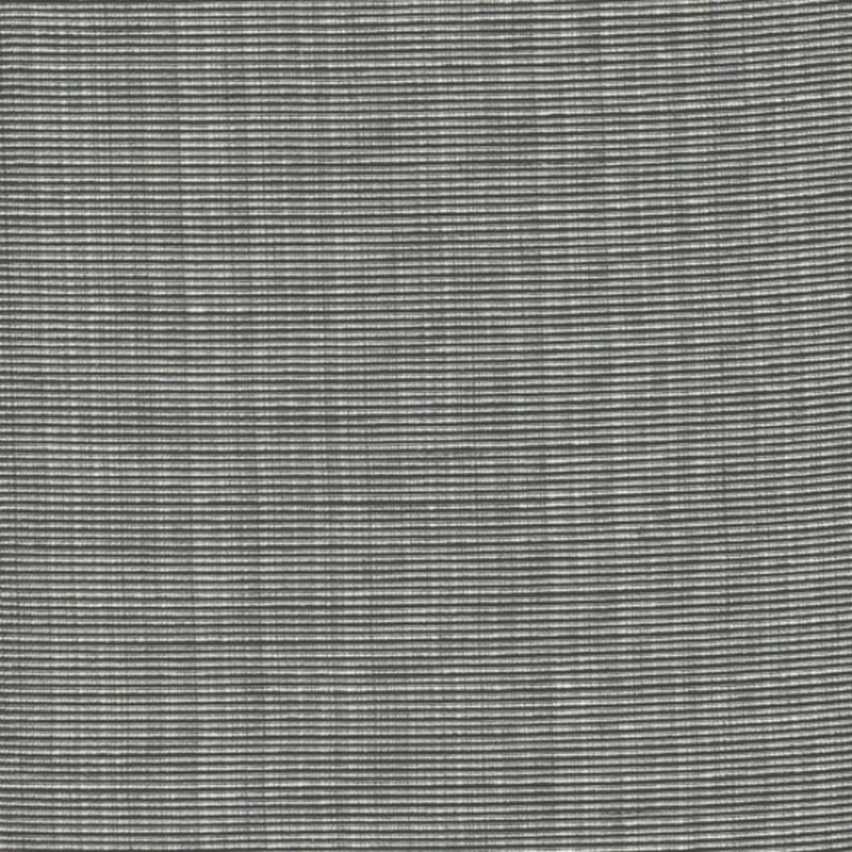 NEUTRAL PARTY Graphite RM Coco Fabric