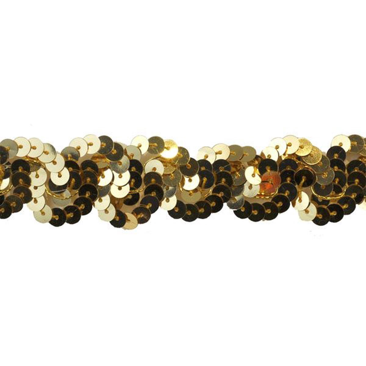1-inch Non-Stretch Sequin Trim 10 Yard Roll