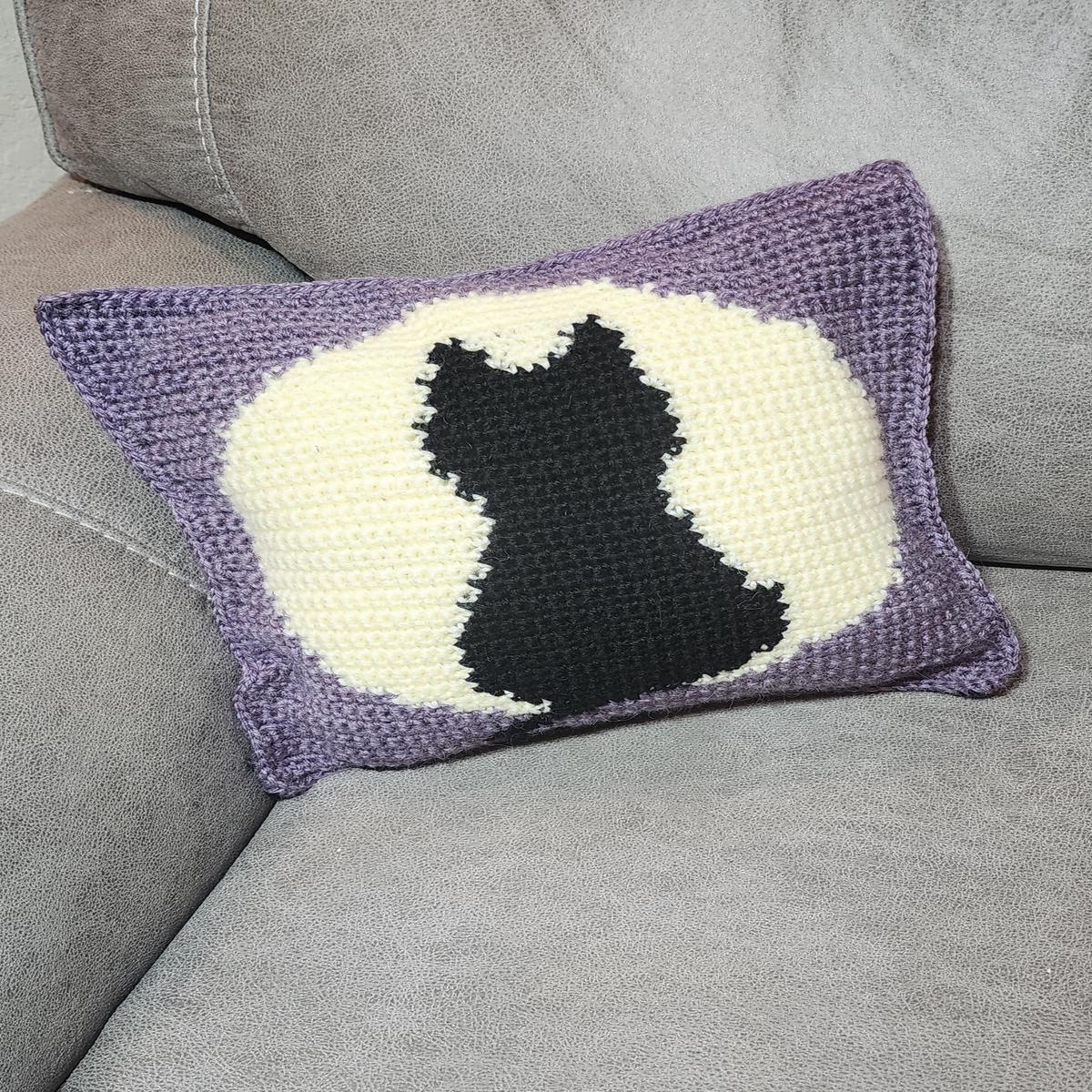 Cat on Full Moon Pillow Sham (Crochet)