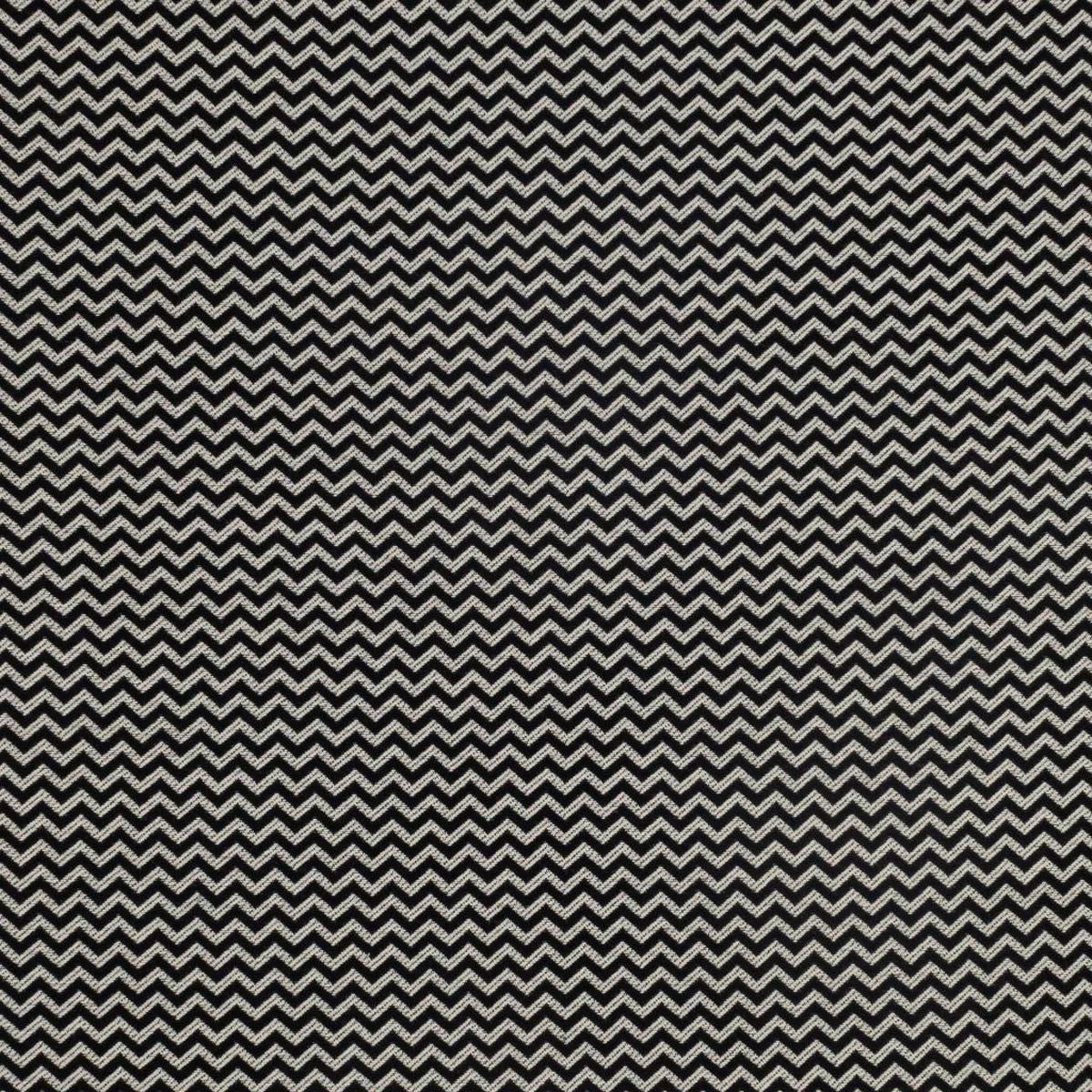 Ziggy -Tuxedo RM Coco Fabric