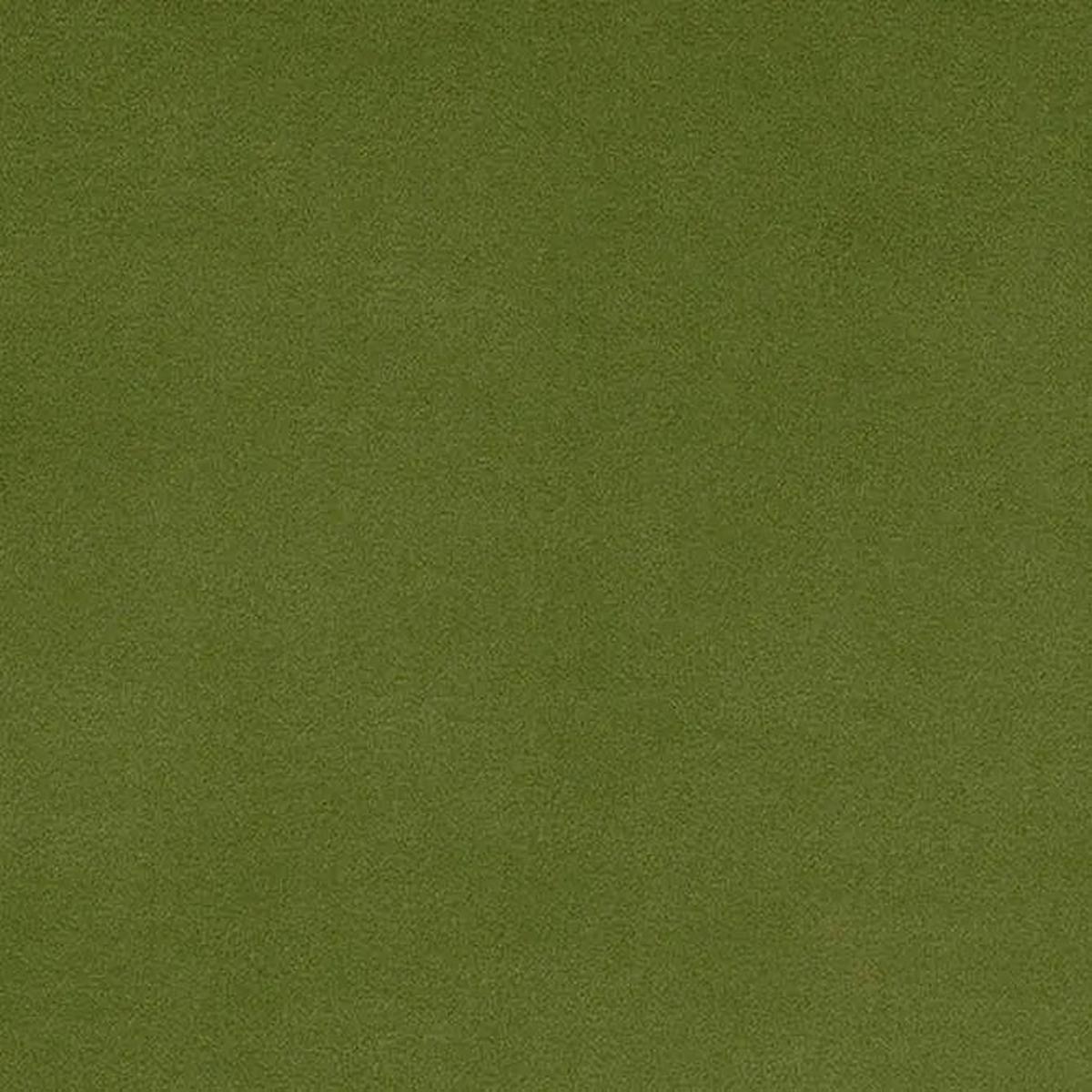 Cactus Solid Cuddle 3 58/60" Fabric per yard