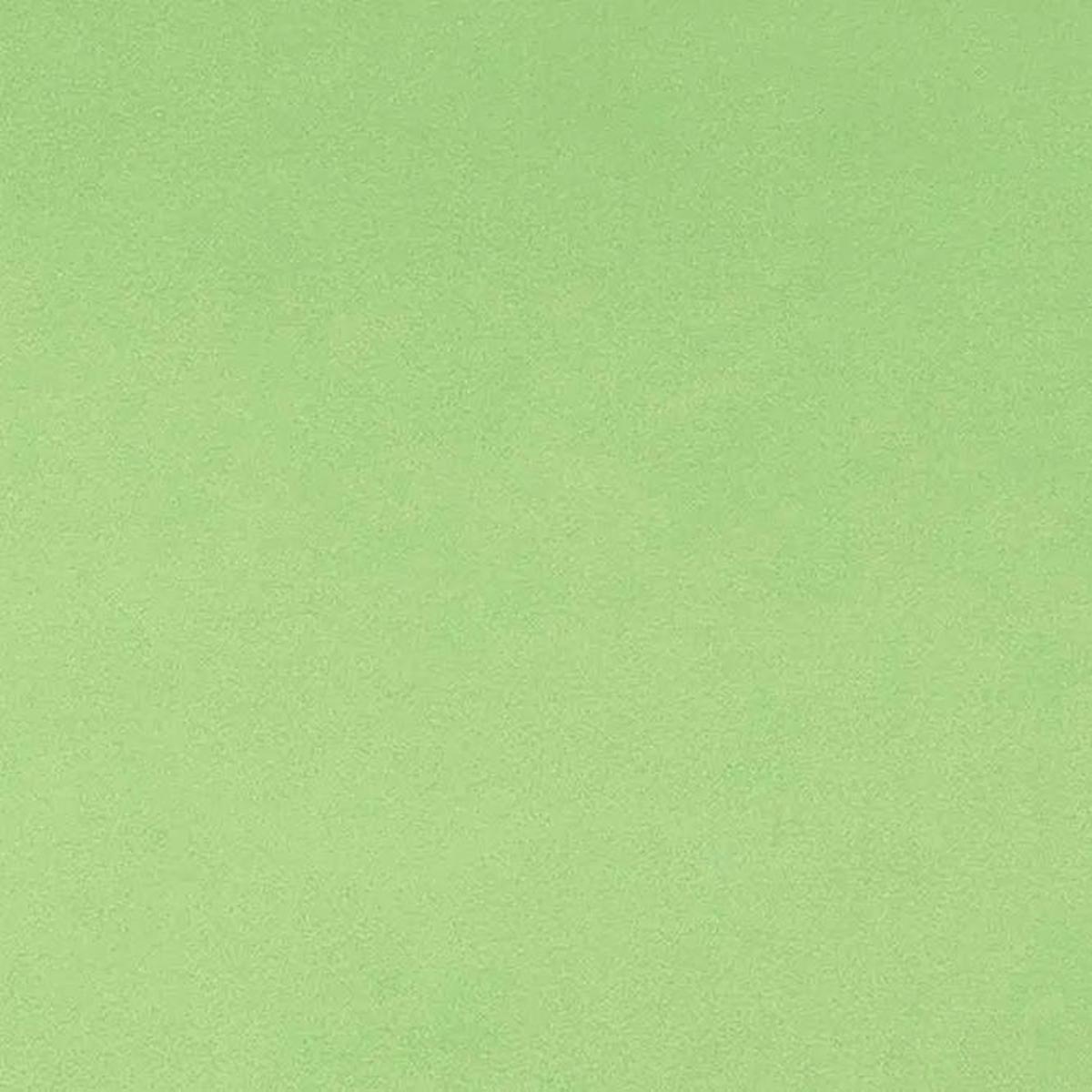 Sage Solid Cuddle 3 58/60" Fabric per yard