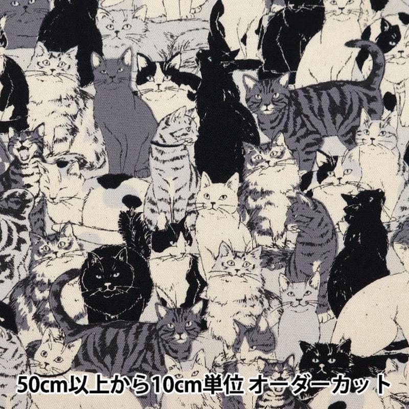[From quantity 5] Fabric Oxford Animal cat pattern 1F Ban color OX41401-1F]