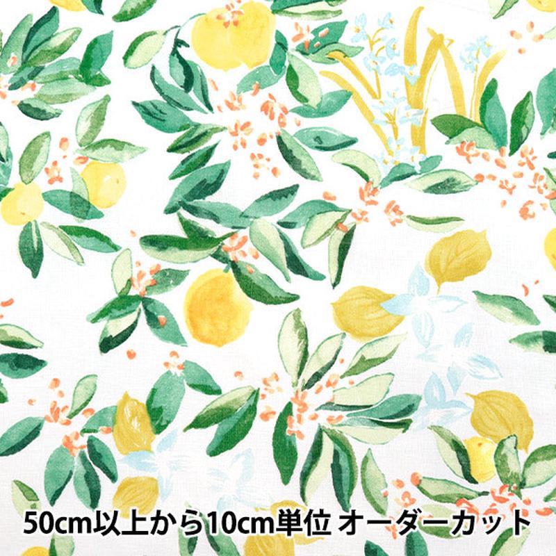 [Quantity starting from 5] Fabric "Naniiro Linen (Thin) MARGO EGX-11361-1A" KOKKA
